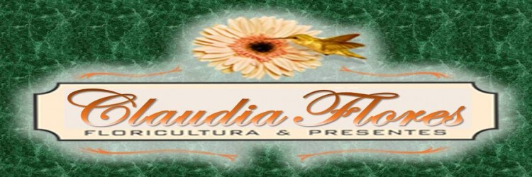 CLAUDIA FLORES LTDA ME